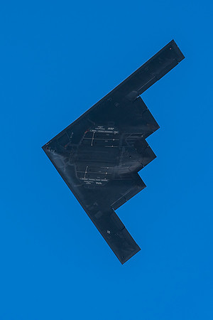 PAZ02894