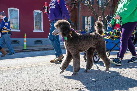 PAZ01566-208